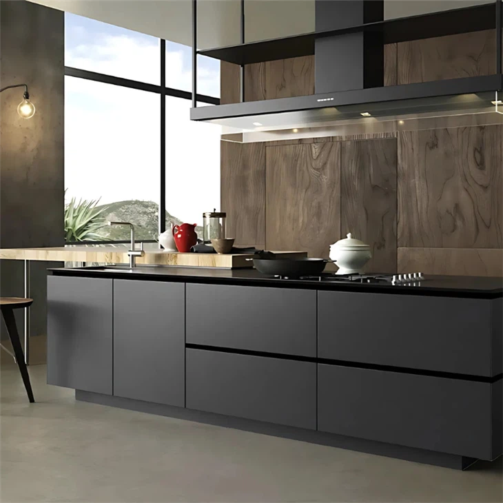 Black Lacquer Kitchen Cabinets suppliers